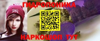 хмурый Кохма