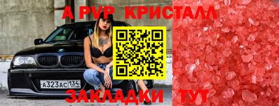 хмурый Кохма