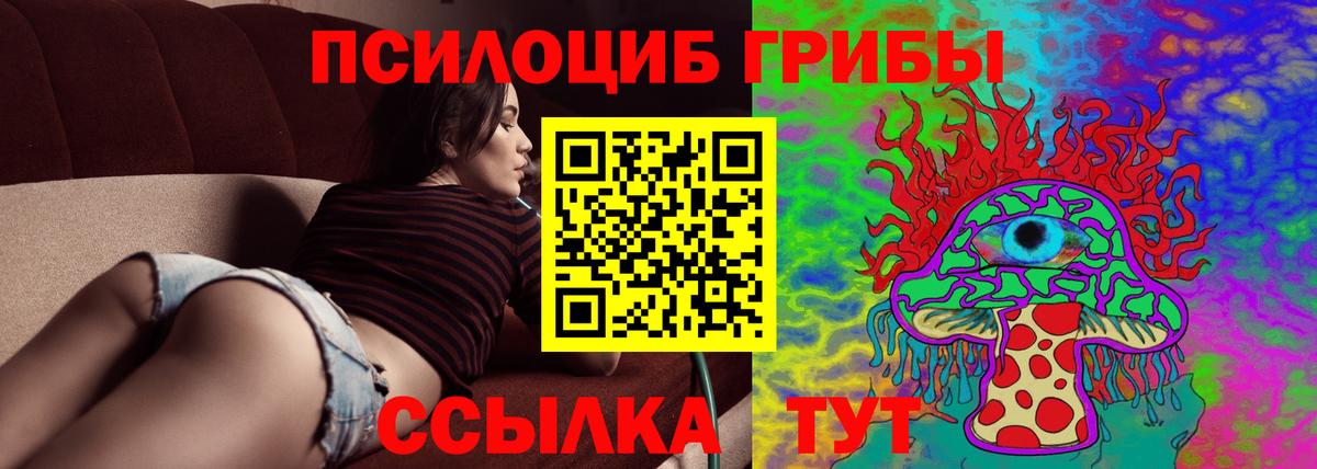 Галлюциногенные грибы мухоморы Губкинский